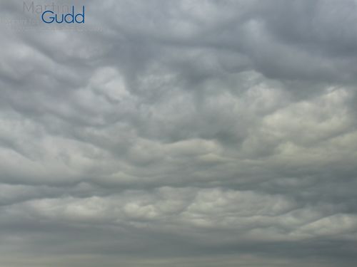 Unterseite eines Altocumulus opacus asperitas (Detail) / Underside of an Altocumulus opacus asperitas (detail)