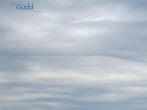 Altocumulus stratiformis opacus asperitas (in Entstehung, Detail / developing, detail)